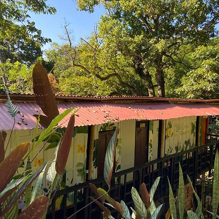 Hostal Las Mariposas Minca Εξωτερικό φωτογραφία