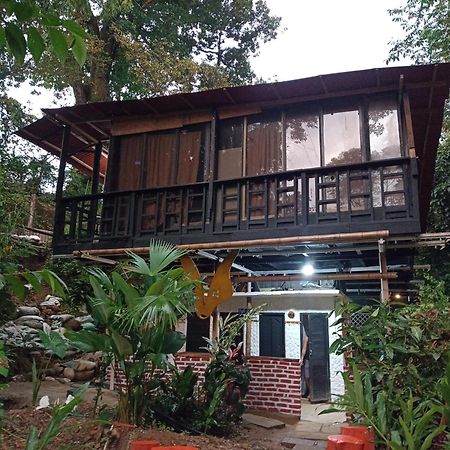 Hostal Las Mariposas Minca Εξωτερικό φωτογραφία