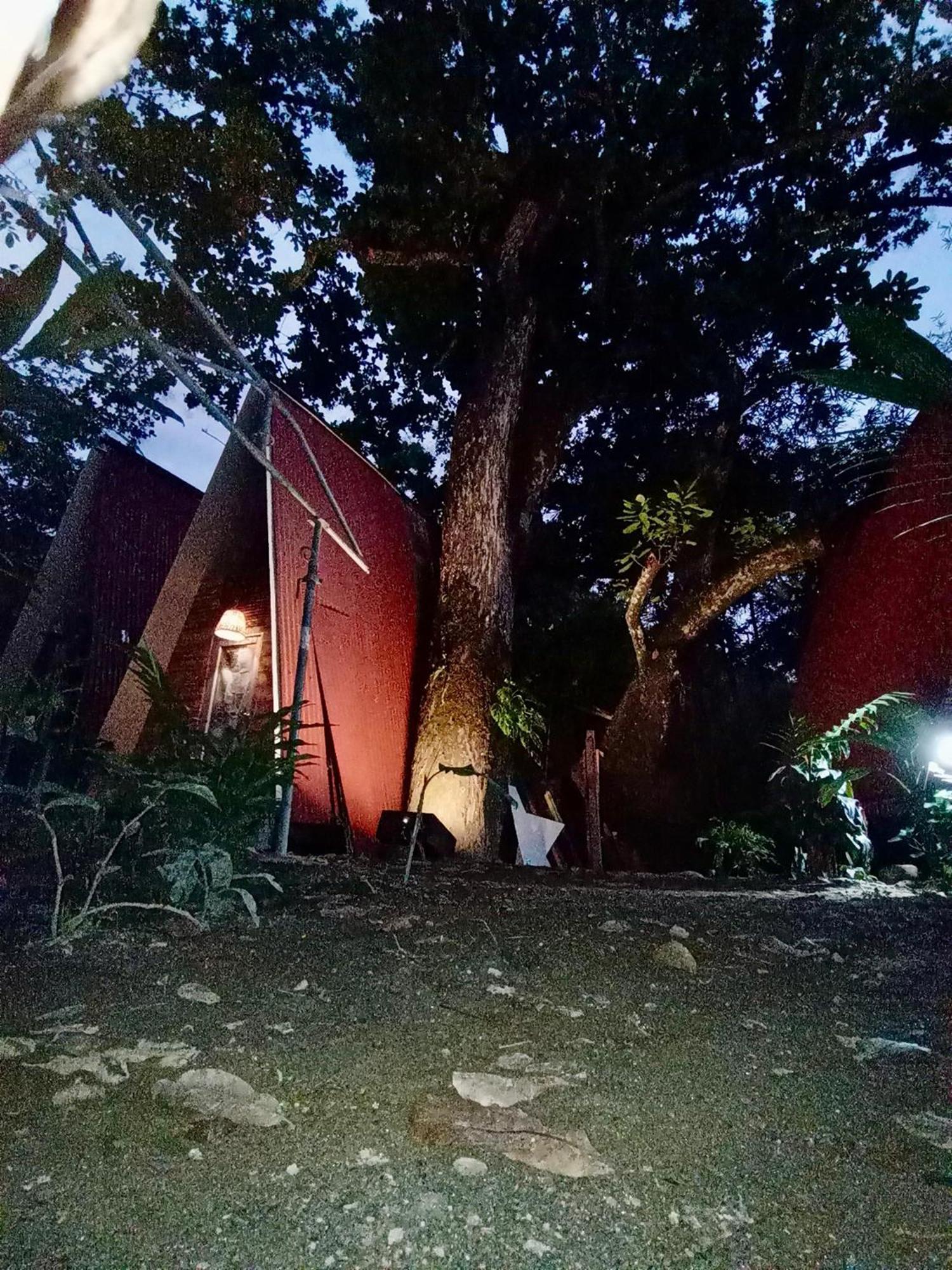 Hostal Las Mariposas Minca Εξωτερικό φωτογραφία