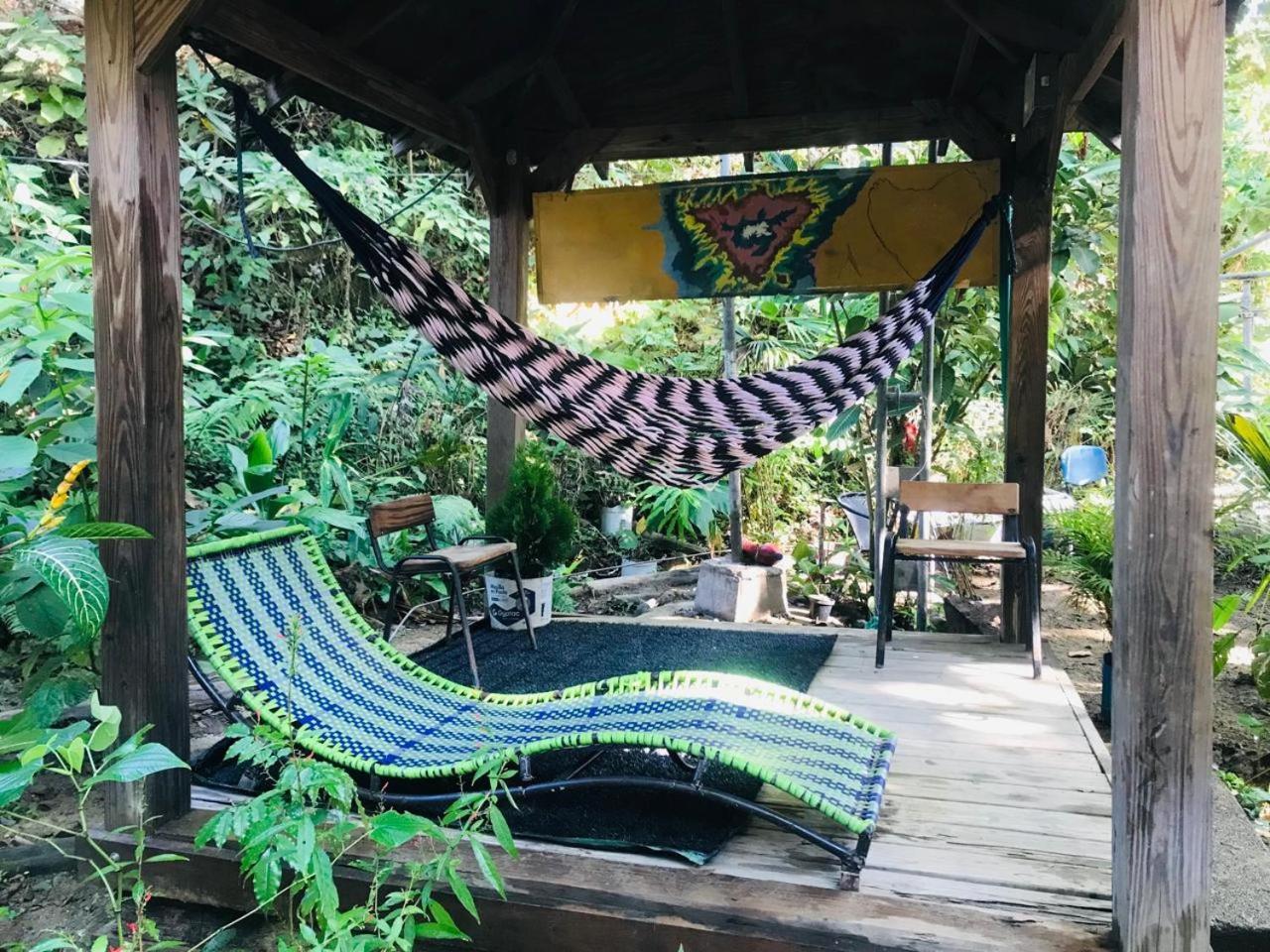Hostal Las Mariposas Minca Εξωτερικό φωτογραφία