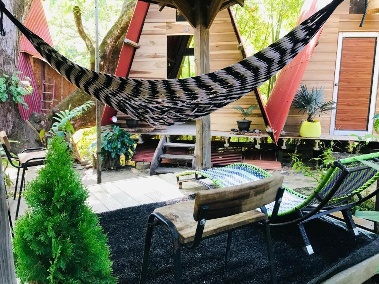 Hostal Las Mariposas Minca Εξωτερικό φωτογραφία