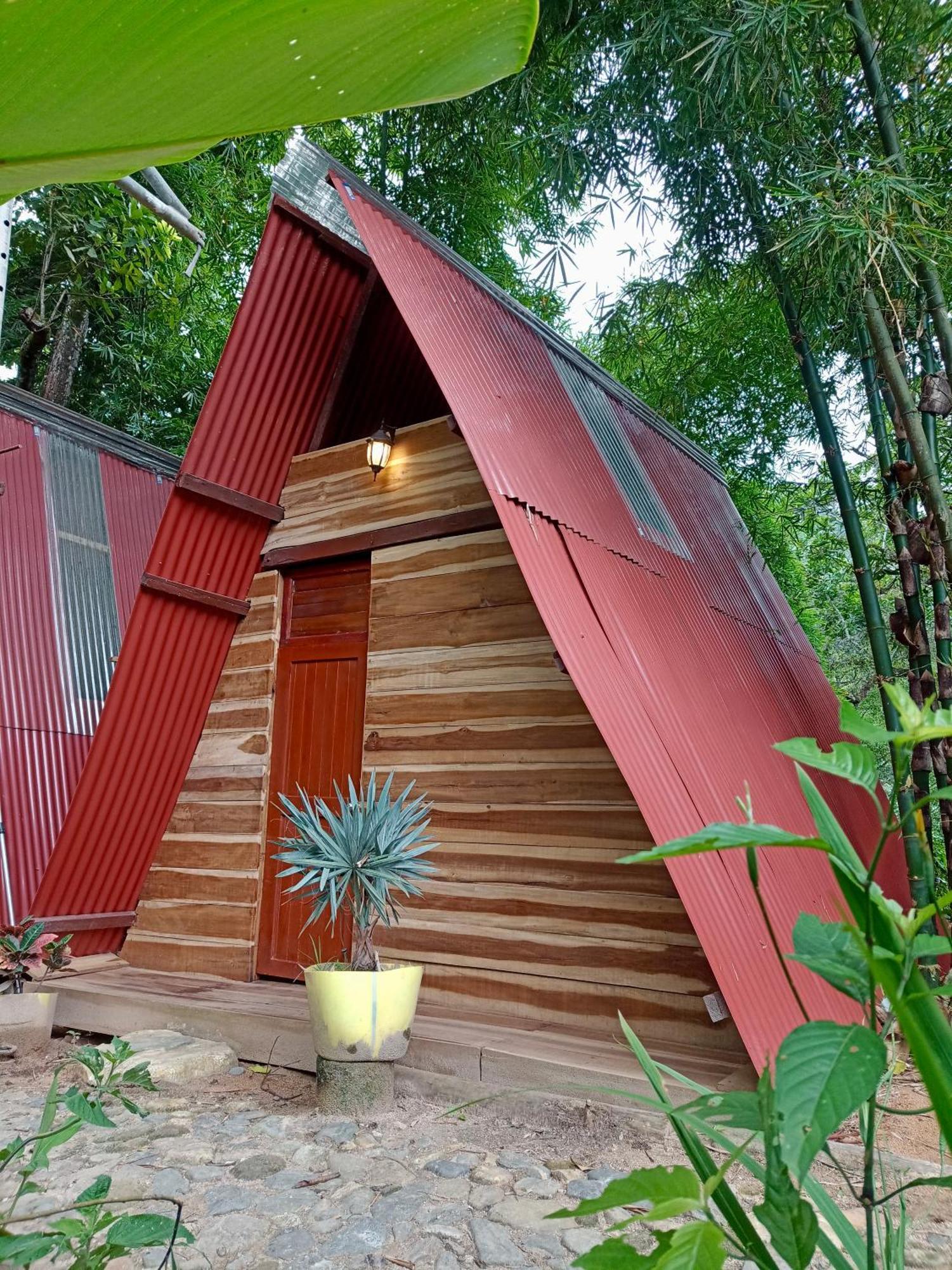 Hostal Las Mariposas Minca Εξωτερικό φωτογραφία