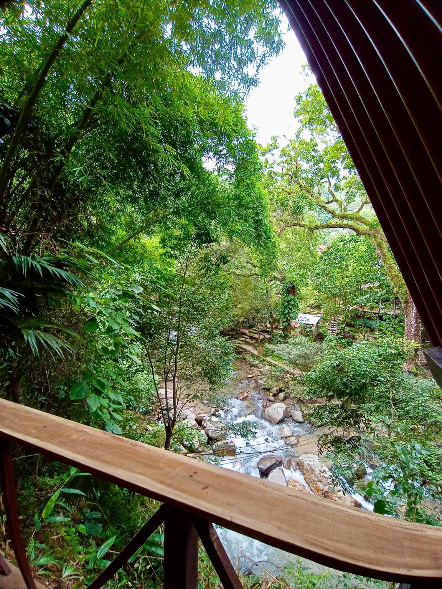 Hostal Las Mariposas Minca Εξωτερικό φωτογραφία