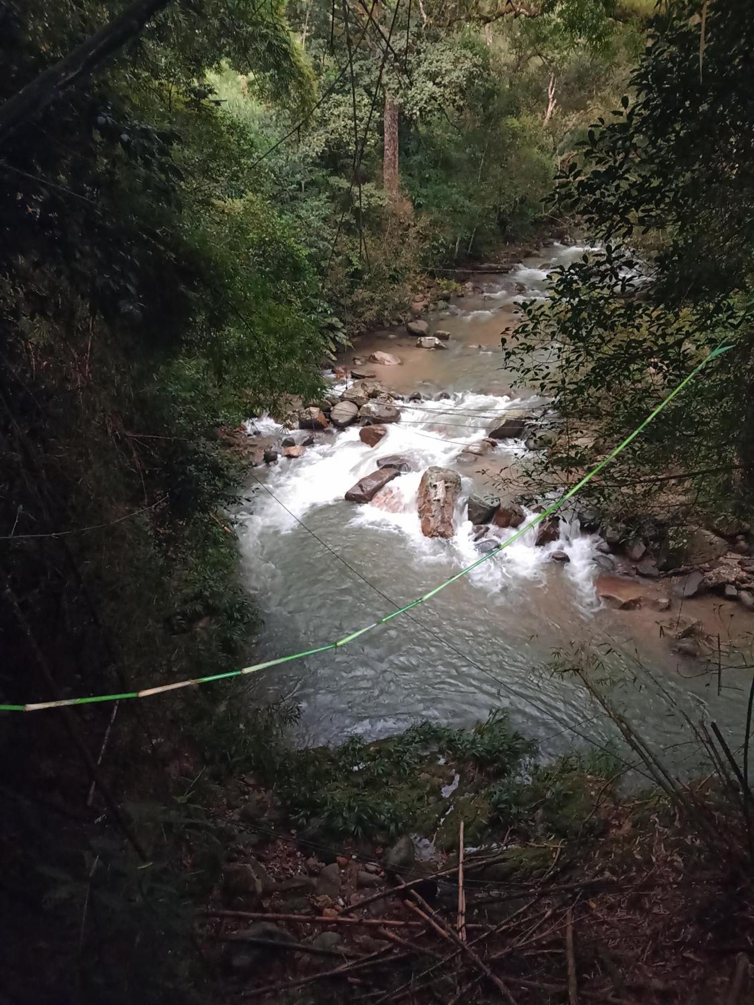 Hostal Las Mariposas Minca Εξωτερικό φωτογραφία