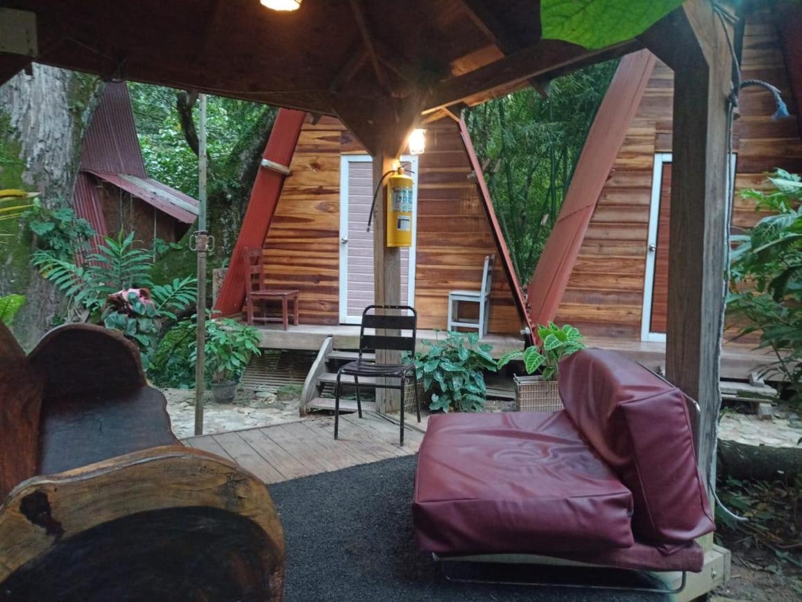 Hostal Las Mariposas Minca Εξωτερικό φωτογραφία