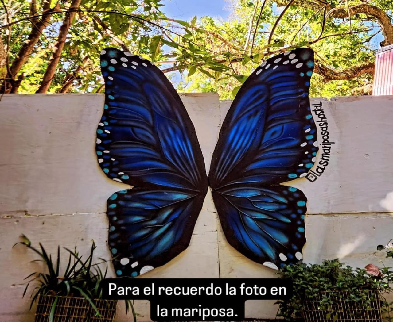 Hostal Las Mariposas Minca Εξωτερικό φωτογραφία